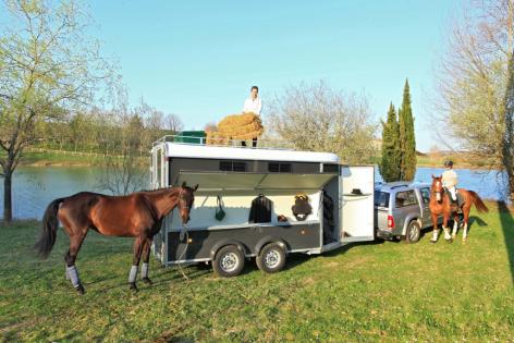 3 HORSES DIAGONAL Fautras